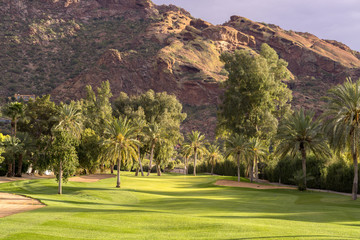 Golf coure fairway,Arizona,USA