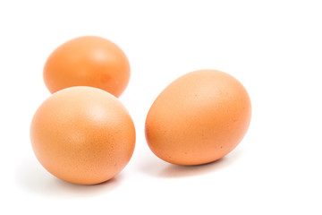 eggs