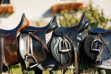 Leather saddle horse