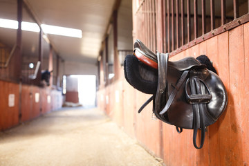 Leather saddle horse - 79565953
