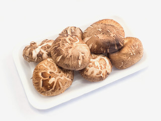 shiitake mushroom