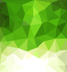 Fototapeta na wymiar vector abstract green background with mosaic for business