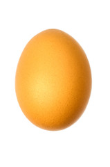 egg isolated