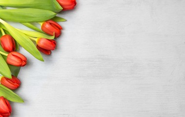 Tulpen auf weißem Holz, Frühling, Rahmen, Textfreiraum