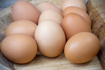 Chicken brown eggs