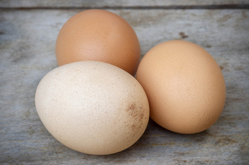 Chicken brown eggs