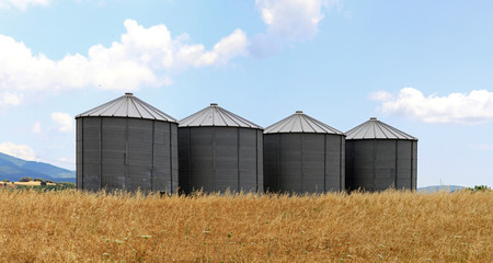 Fototapeta na wymiar Wheat silo