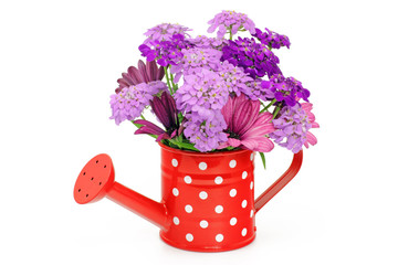 giesskanne mit blumen © Schlierner