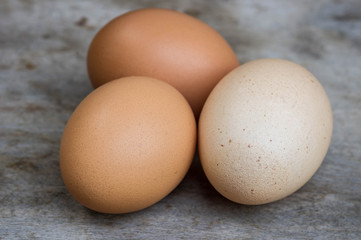 Chicken brown eggs