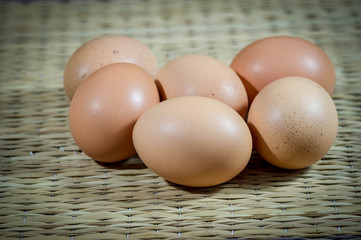 Chicken brown eggs