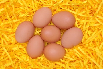 Eggs on yellow shredded paper as a symbol of Easter