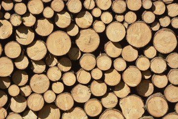 Holzstapel