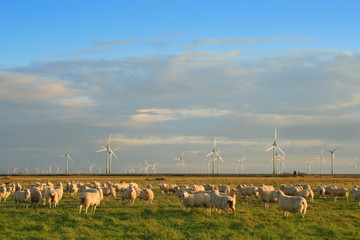Norddeutsche Landschaft