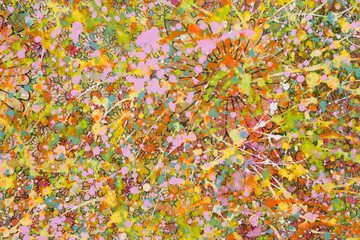 Fototapeta premium The flowery background sloppy with colourful paint