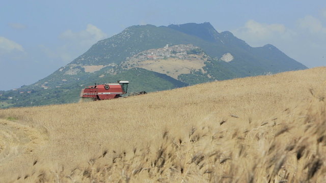 wheat harvest with modern combine harvester in italian countryside