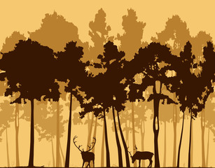 Illustration, pine wood and two deer.