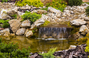 waterfall in the park in the summer on the nature