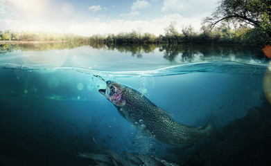 Fishing. Close-up shut of a fish hook under water - obrazy, fototapety, plakaty