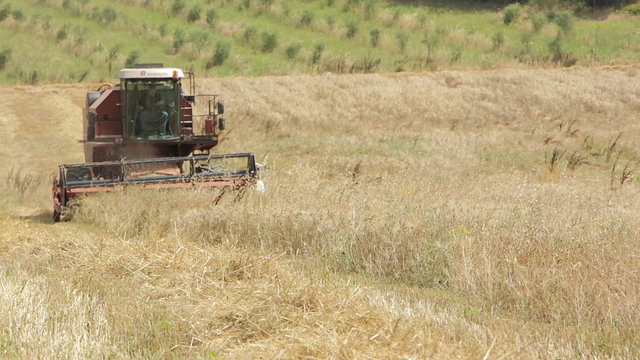 wheat harvest with modern combine harvester, Harvesting equipment, countryside