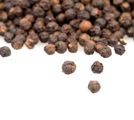 closeup dried black pepper on white background