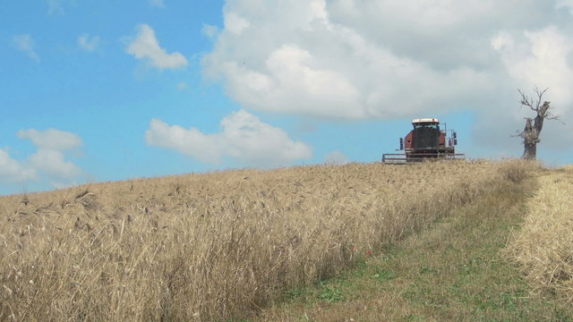 farmer is working with harvesting equipment  in wavy a field of wheat