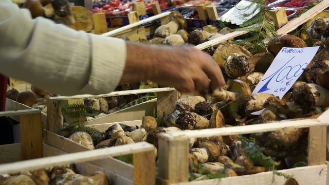 Scenes of Florence Italy.