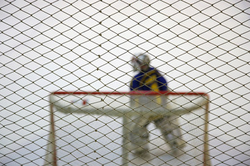 Ice hockey goalkeeper near gates on the ice