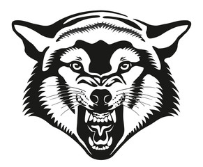 Wolf head illustration