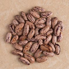 Circle of pinto beans