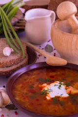 Ukrainian national dish vegetable soup - borsch