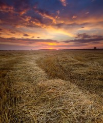 Stubble field sunset
