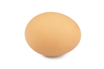 One egg on a white background