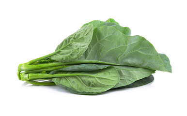 chinese broccoli on white background