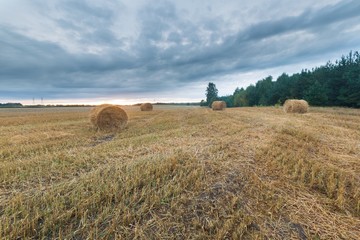 Straw bales on field against sky