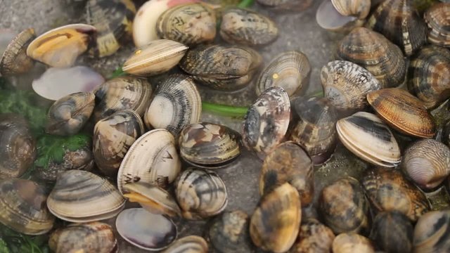 Cooking clams