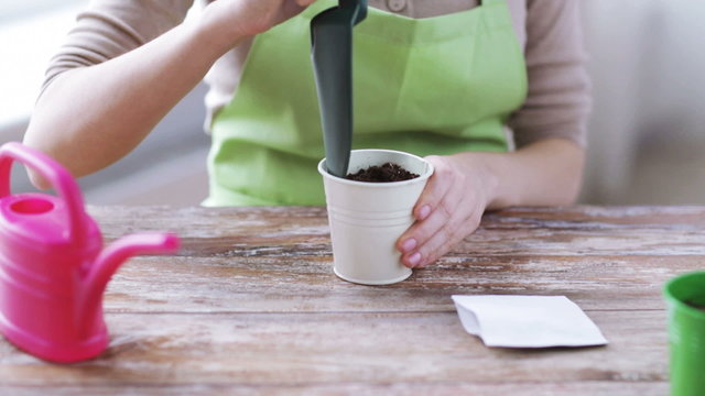 close up of woman sowing seeds to soil in pot