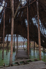 Comana Natural Park, Romania