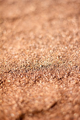 dry cocoa powder with long depth of field