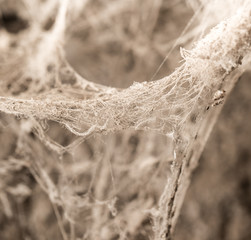 background from the old web