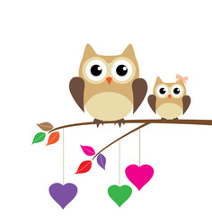 Owl Family