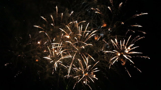 Beautiful Fireworks Exploding On Black Background. Slow Motion.