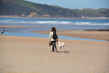 paseando por la playa de oyambre en primavera
