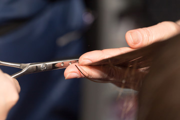 cutting hair in a beauty salon