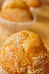 magdalenas, typical spanish plain muffins