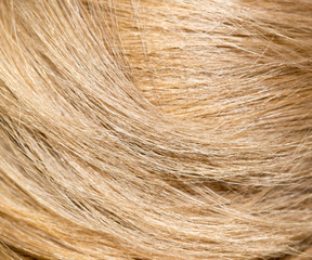 Fototapeta premium long blond hair as background