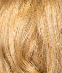 long blond hair as background