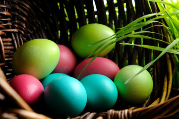 easter color eggs