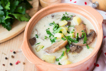 Traditional Russian potato soup with mushrooms and sour cream