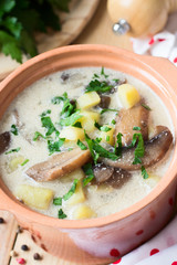 Traditional Russian potato soup with mushrooms and sour cream