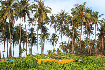 Traditional Philippines fishing boat